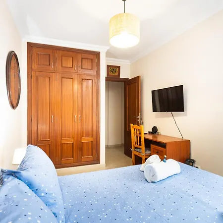 Buganvilla Σαν Κριστόμπαλ ντε Λα Λαγούνα